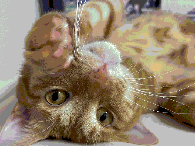 陸井ルコ、出撃!