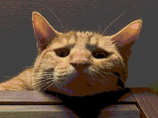 陸井ルコ、出撃!