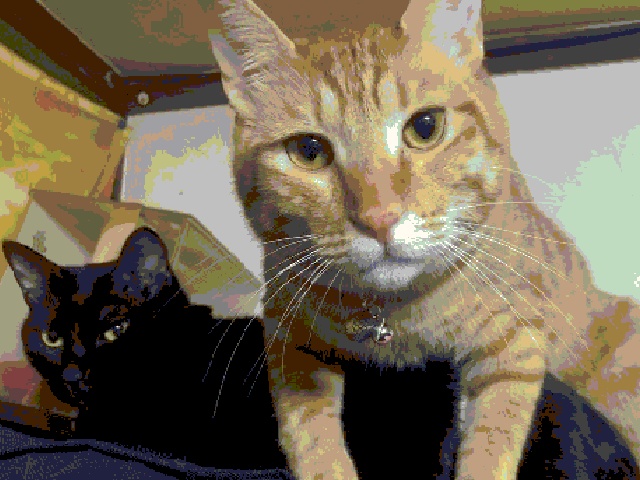 陸井ルコ、出撃!