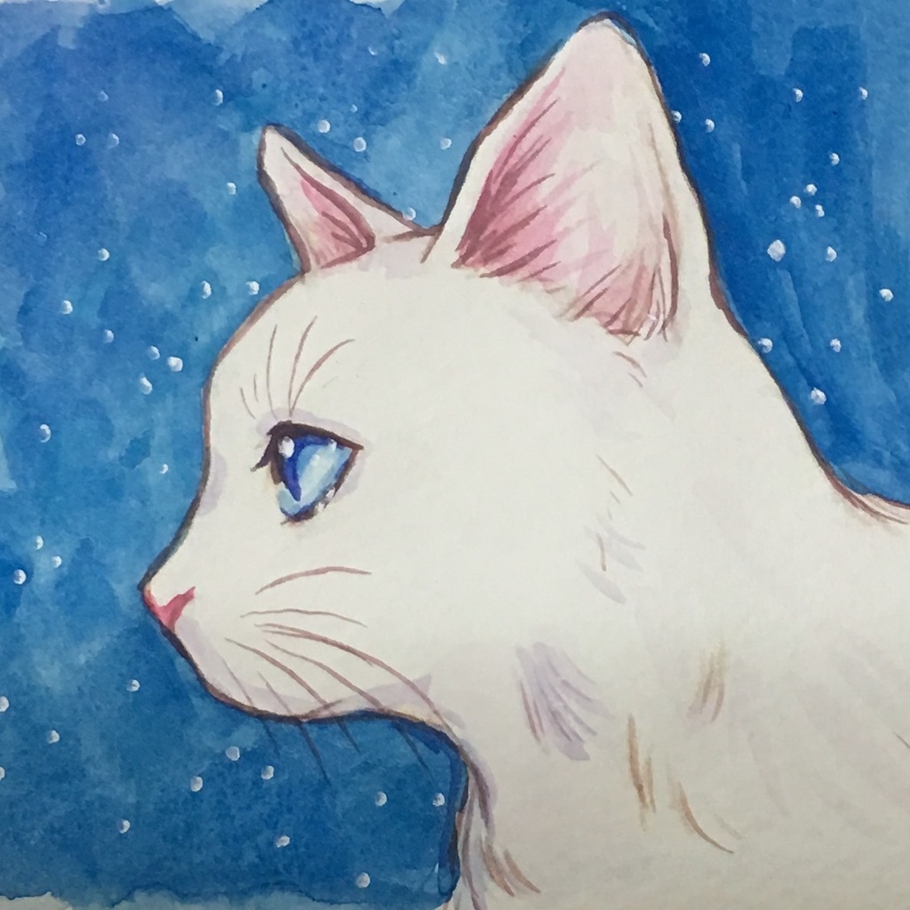 白猫　絵画　イラスト　ドローイング