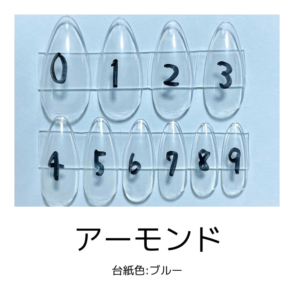 サンプルチップ