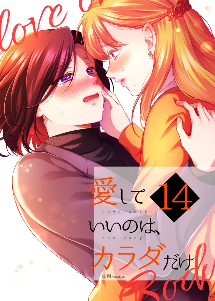 愛していいのは、カラダだけ14