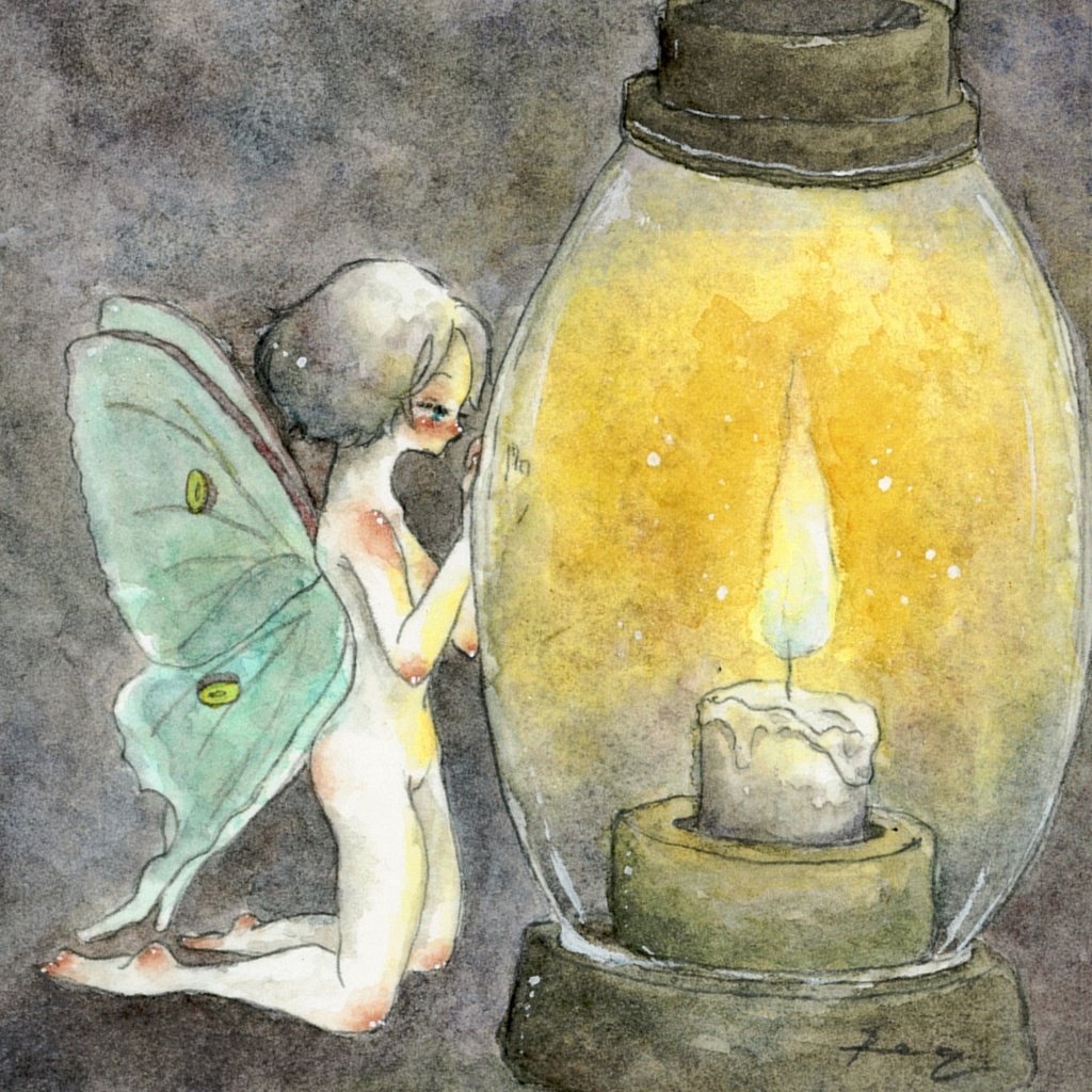 灯に集う、花に集う