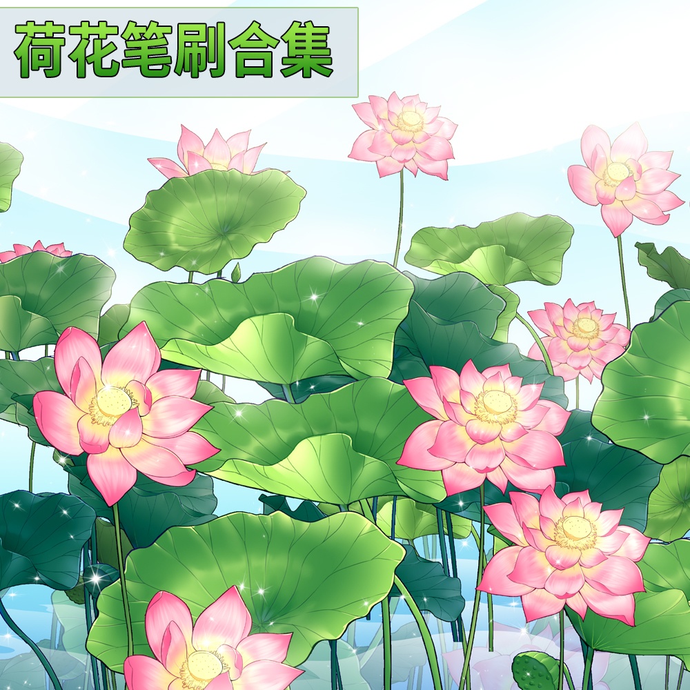 ハスブラシの組み合わせ