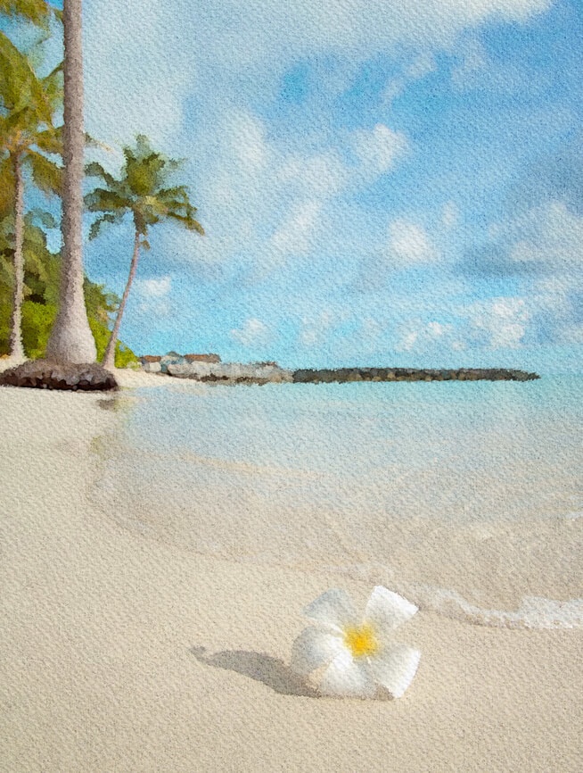 夏の水彩素材 30点セット