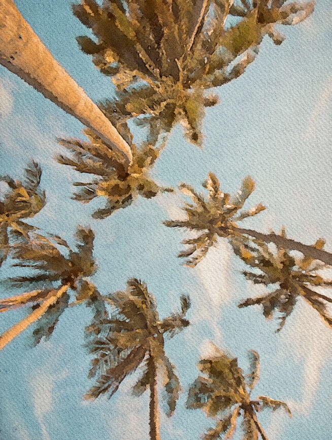 夏の水彩素材 30点セット