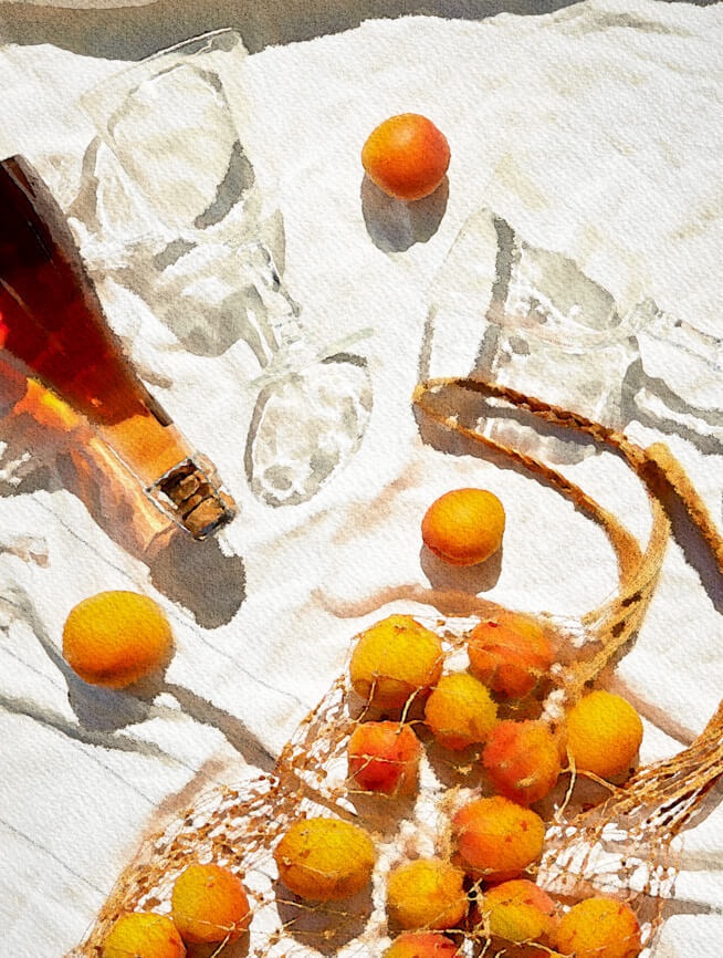 夏の水彩素材 30点セット