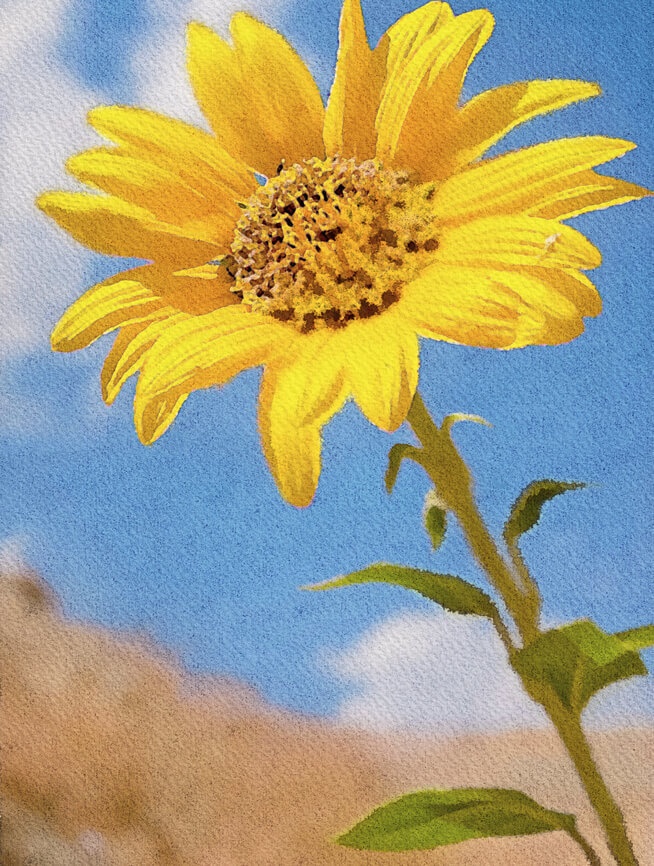 夏の水彩素材 30点セット