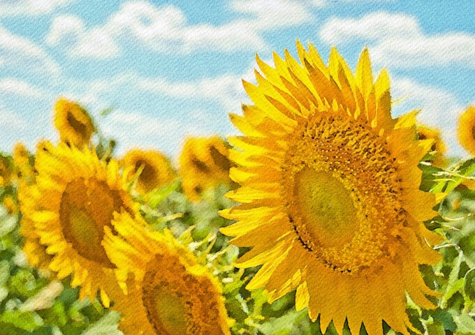 夏の水彩素材 30点セット