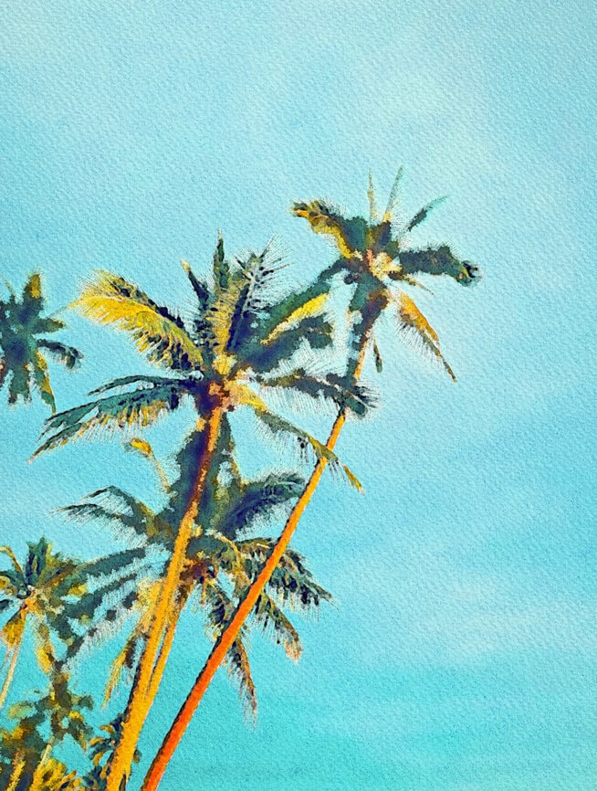 夏の水彩素材 30点セット