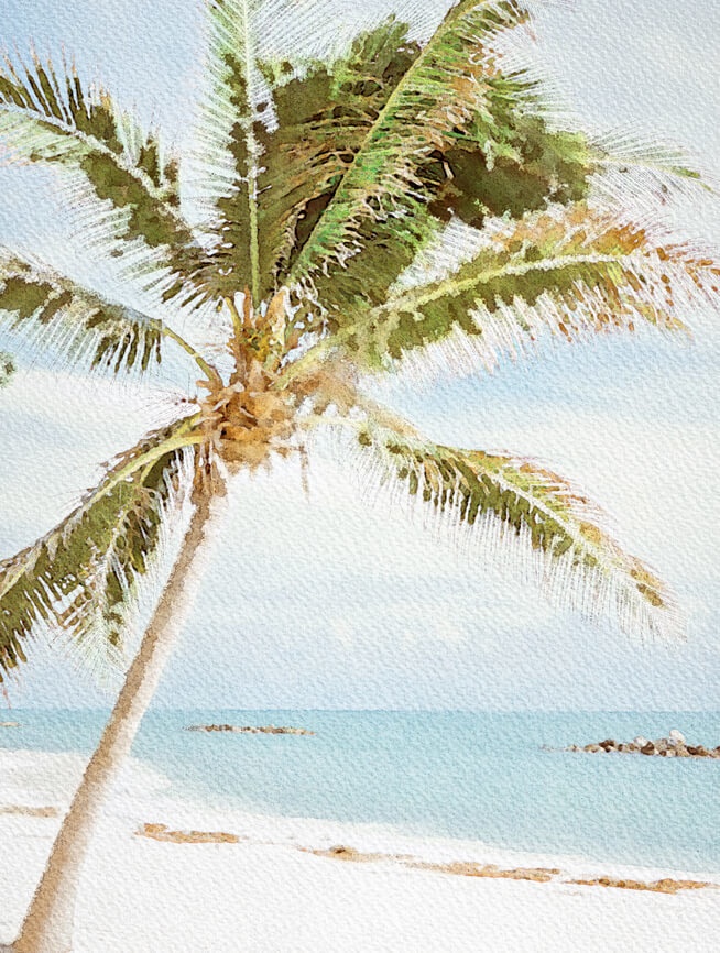 夏の水彩素材 30点セット