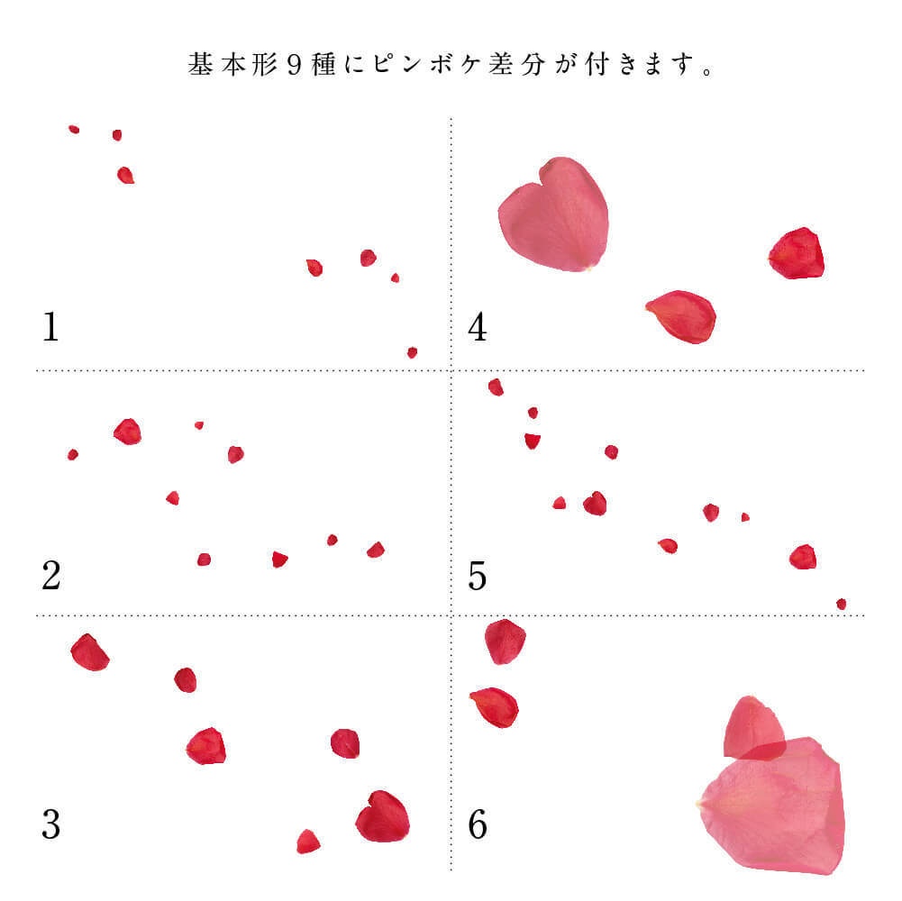 PETALS - 花びら透過素材216点セット