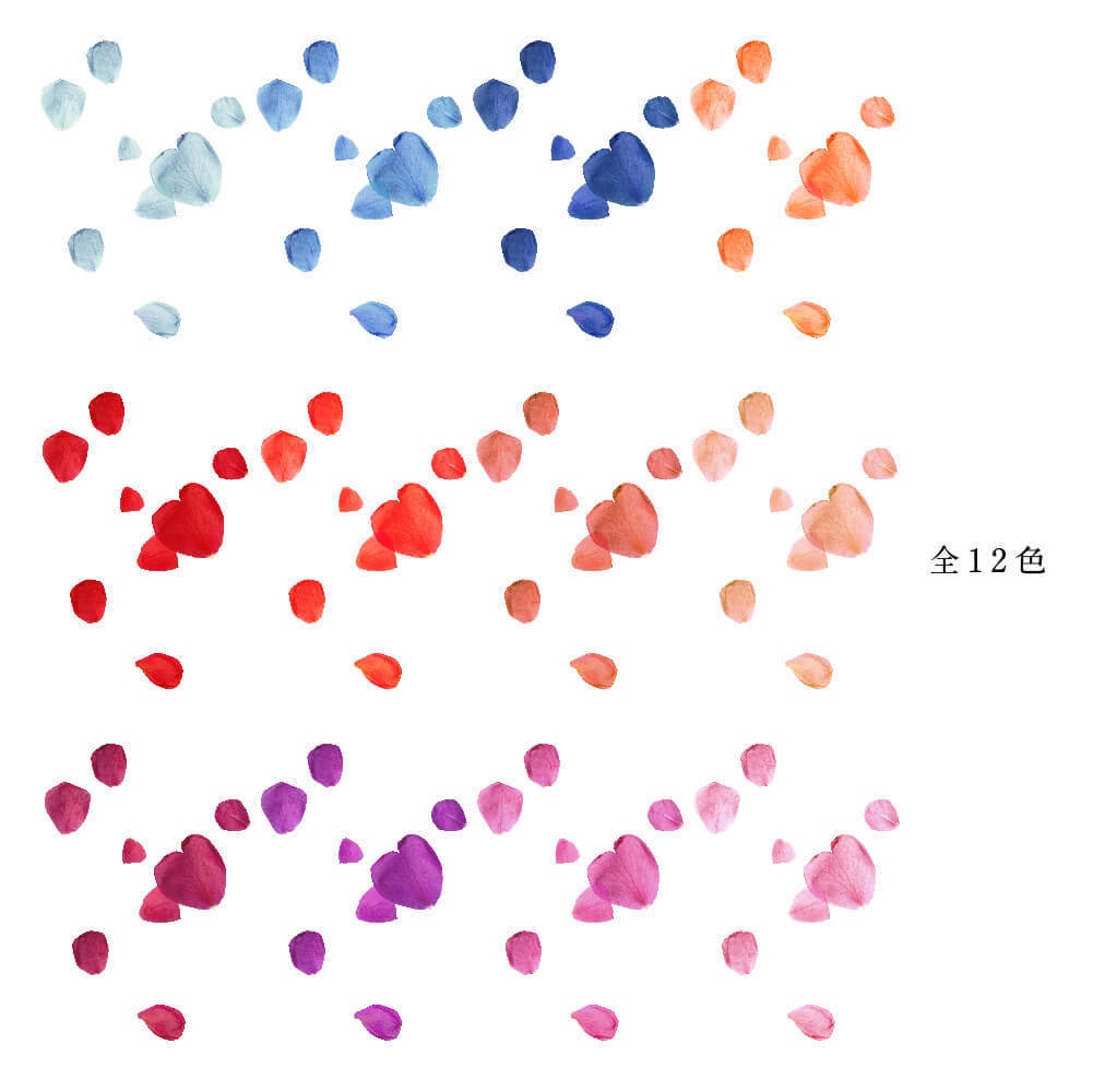 PETALS - 花びら透過素材216点セット