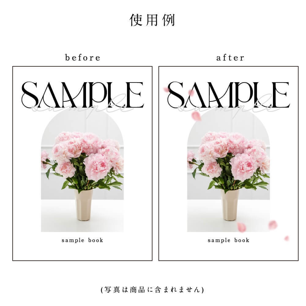 PETALS - 花びら透過素材216点セット