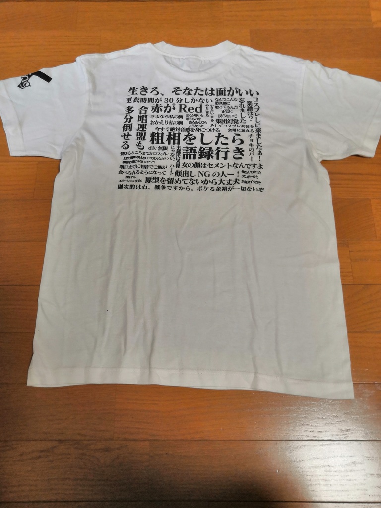 ani×sing公式Tシャツvol.1