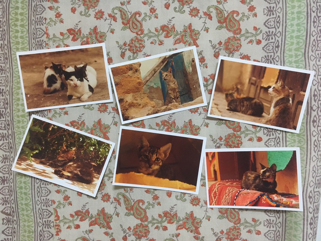 【再販】「猫のモロッコ」ポストカードセット