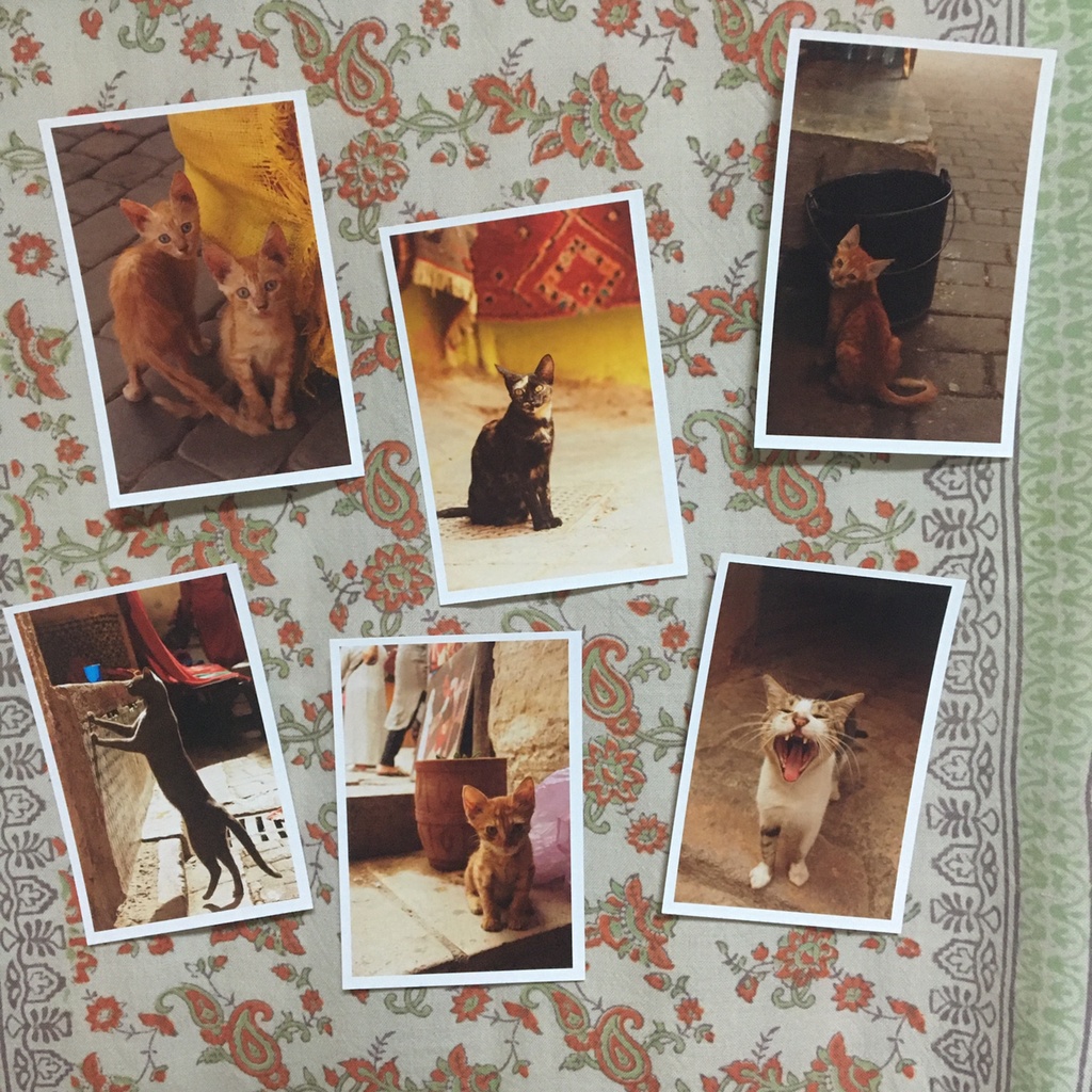 【再販】「猫のモロッコ」ポストカードセット