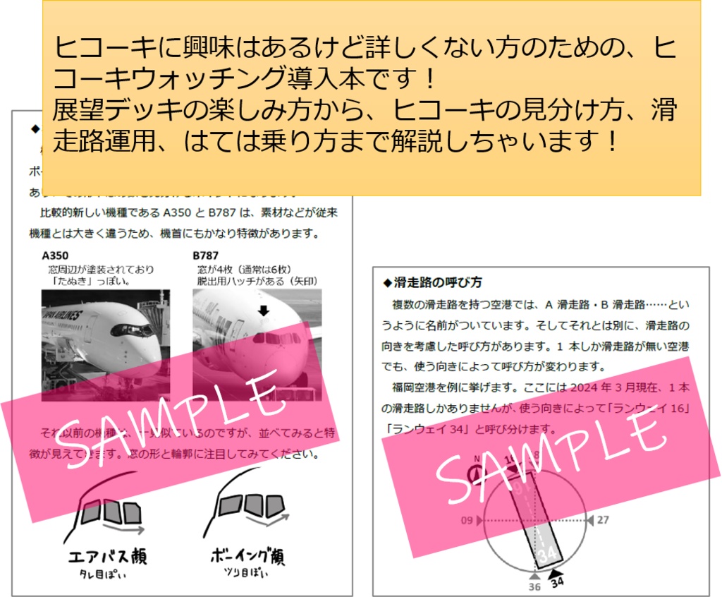 超初心者向け ヒコーキ観察ガイド