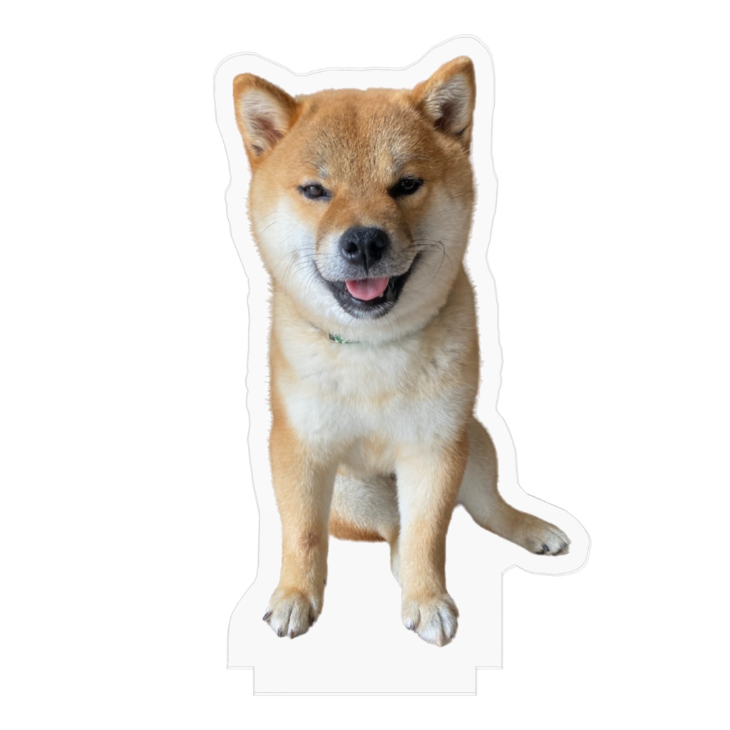 保護犬くま丸のおすわりアクスタ