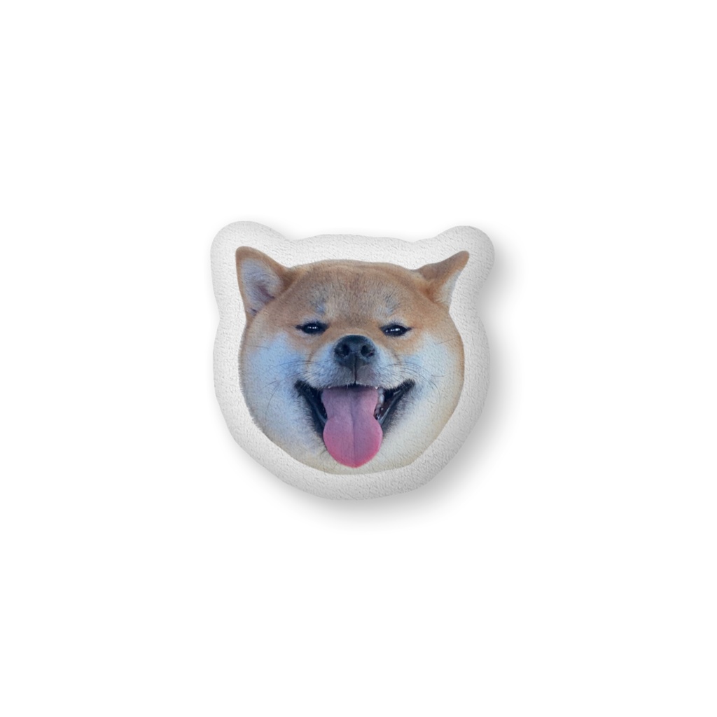 保護犬くま丸のクッション