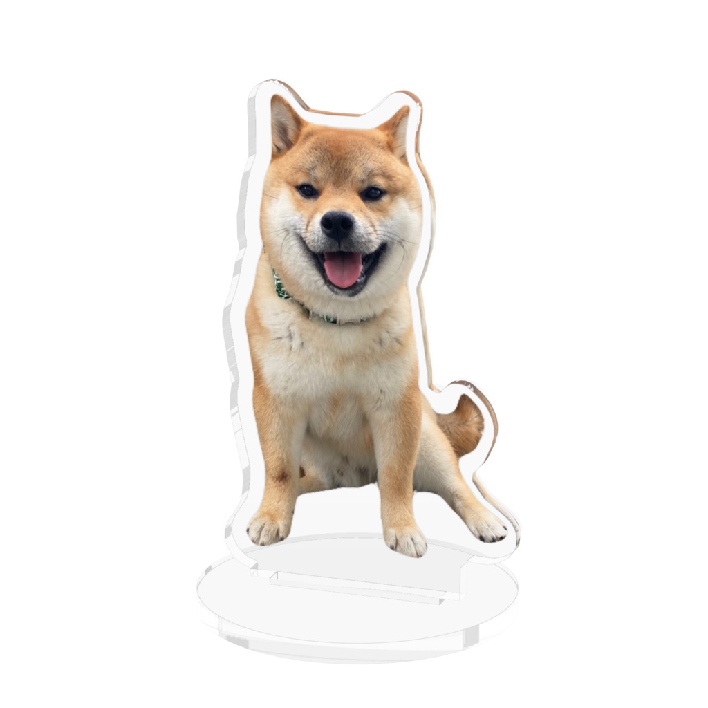 保護犬くま丸のアクスタ2