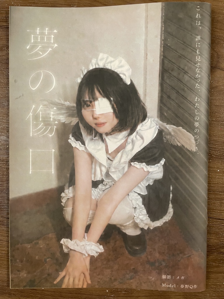 夢の傷口