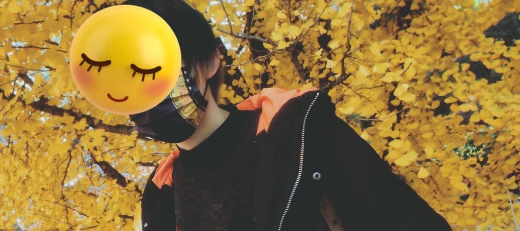 マスク・射命丸文イメージ