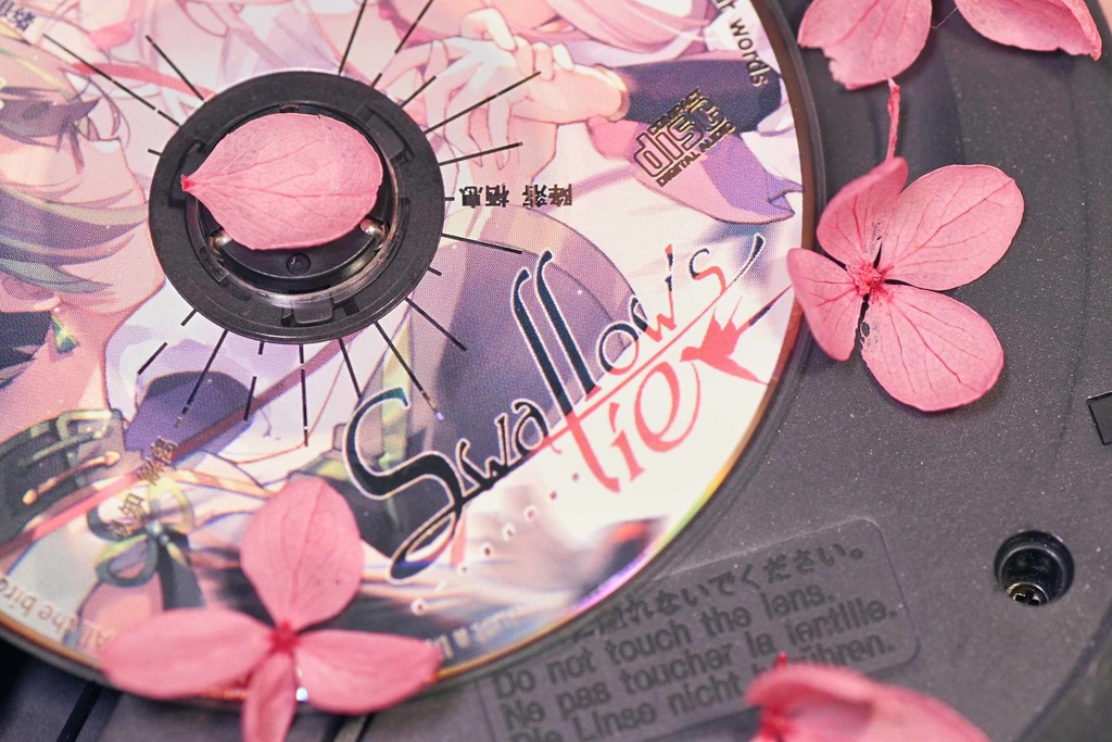 Swallow's Lies【OUOD×起氏双子】