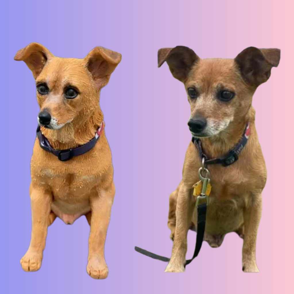 【受注作製】うちの子 写真入り そっくり人形❤ペット フィギュア、犬置物、 名入れ 愛犬 立体肖像画 似顔絵❤犬猫人形、ペットロス、メモリアル、ねこちゃん、誕生日、うちのこ記念日、ペットギフト