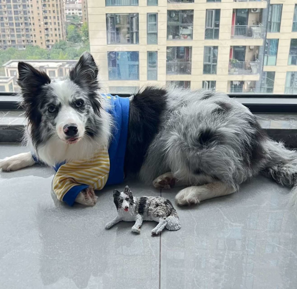 【受注作製】うちの子 写真入り そっくり人形❤ペット フィギュア、犬置物、 名入れ 愛犬 立体肖像画 似顔絵❤犬猫人形、ペットロス、メモリアル、ねこちゃん、誕生日、うちのこ記念日、ペットギフト