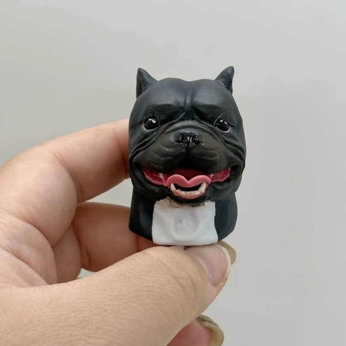 【受注作製】うちの子 写真入り そっくり人形❤ペット フィギュア、犬置物、 名入れ 愛犬 立体肖像画 似顔絵❤犬猫人形、ペットロス、メモリアル、ねこちゃん、誕生日、うちのこ記念日、ペットギフト