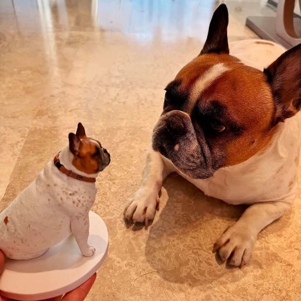 【受注作製】うちの子 写真入り そっくり人形❤ペット フィギュア、犬置物、 名入れ 愛犬 立体肖像画 似顔絵❤犬猫人形、ペットロス、メモリアル、ねこちゃん、誕生日、うちのこ記念日、ペットギフト