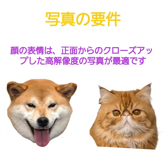 【受注作製】うちの子 写真入り そっくり人形❤ペット フィギュア、犬置物、 名入れ 愛犬 立体肖像画 似顔絵❤犬猫人形、ペットロス、メモリアル、ねこちゃん、誕生日、うちのこ記念日、ペットギフト