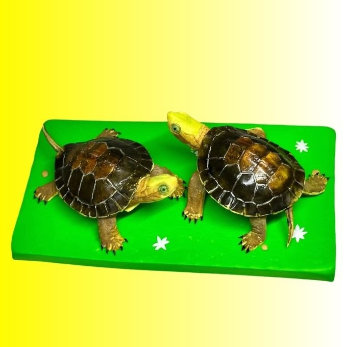 【受注作製】うちの子 写真入り そっくり人形❤ペット フィギュア、猫置物、名入れ 愛猫 立体肖像画 似顔絵❤犬猫人形、ペットロス、メモリアル、ねこちゃん、誕生日、うちのこ記念日、ペットギフト