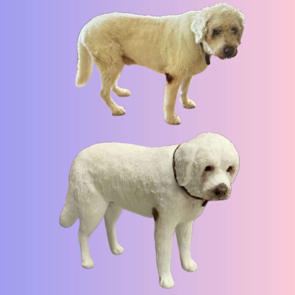 【受注作製】うちの子 写真入り そっくり人形❤ペット フィギュア、犬置物、 名入れ 愛犬 立体肖像画 似顔絵❤犬猫人形、ペットロス、メモリアル、ねこちゃん、誕生日、うちのこ記念日、ペットギフト