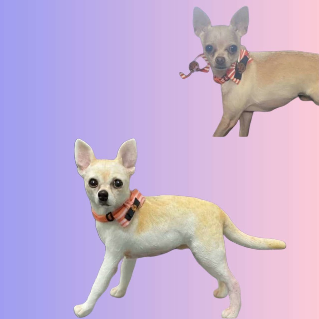 【受注作製】うちの子 写真入り そっくり人形❤ペット フィギュア、犬置物、 名入れ 愛犬 立体肖像画 似顔絵❤犬猫人形、ペットロス、メモリアル、ねこちゃん、誕生日、うちのこ記念日、ペットギフト
