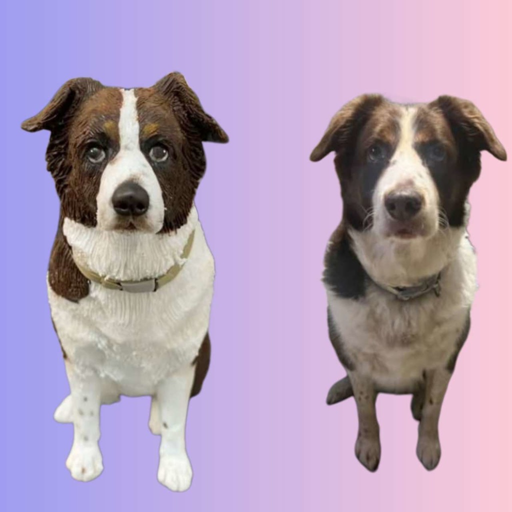 【受注作製】うちの子 写真入り そっくり人形❤ペット フィギュア、犬置物、 名入れ 愛犬 立体肖像画 似顔絵❤犬猫人形、ペットロス、メモリアル、ねこちゃん、誕生日、うちのこ記念日、ペットギフト