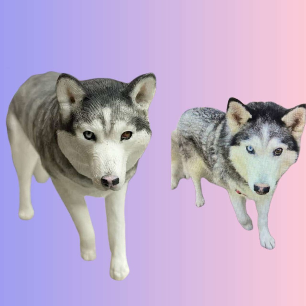 【受注作製】うちの子 写真入り そっくり人形❤ペット フィギュア、犬置物、 名入れ 愛犬 立体肖像画 似顔絵❤犬猫人形、ペットロス、メモリアル、ねこちゃん、誕生日、うちのこ記念日、ペットギフト