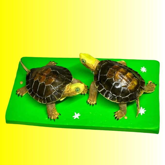 【受注作製】ペットギフト うちの子 写真入り オウム 鳥 人形 フィギュア、名入れ 似顔絵❤犬猫人形、ペットロス、メモリアル、ねこちゃん、誕生日、うちのこ記念日、ペットギフト