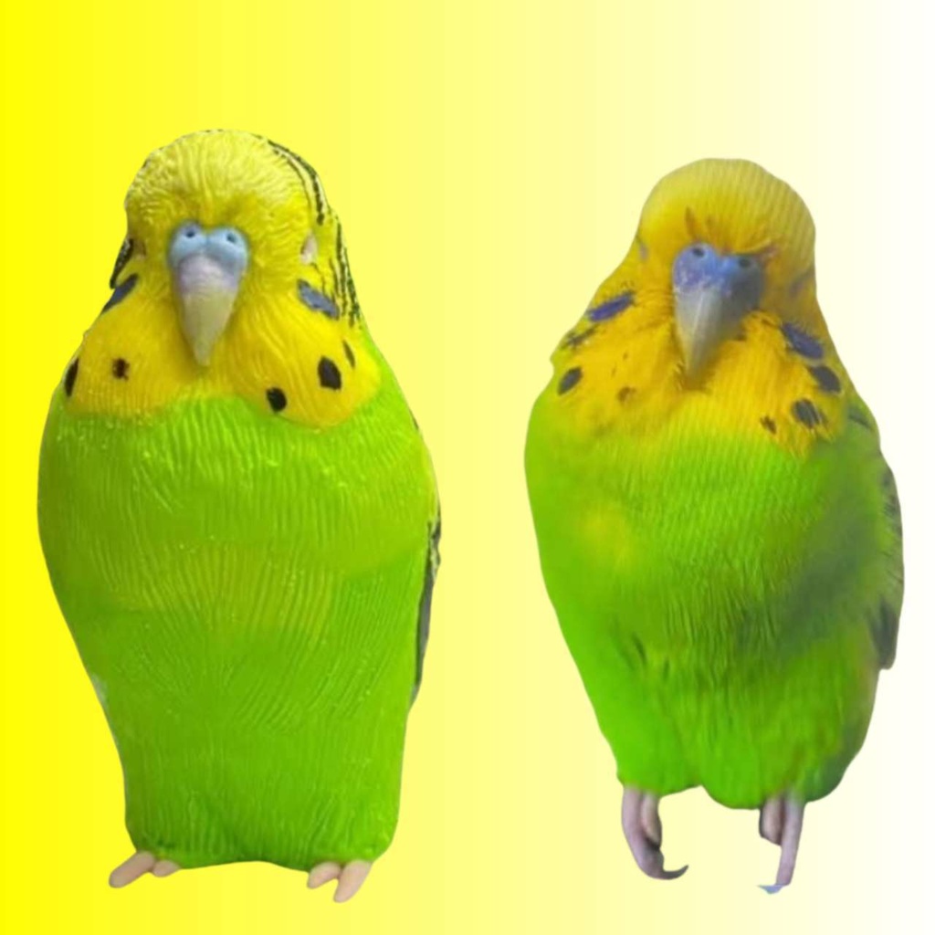 【受注作製】ペットギフト うちの子 写真入り オウム 鳥 人形 フィギュア、名入れ 似顔絵❤犬猫人形、ペットロス、メモリアル、ねこちゃん、誕生日、うちのこ記念日、ペットギフト