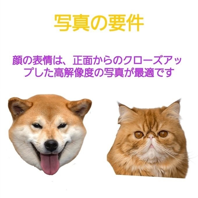 【受注作製】うちの子 写真入り そっくり人形❤ペット フィギュア、猫置物、名入れ 愛猫 立体肖像画 似顔絵❤犬猫人形、ペットロス、メモリアル、ねこちゃん、誕生日、うちのこ記念日、ペットギフト