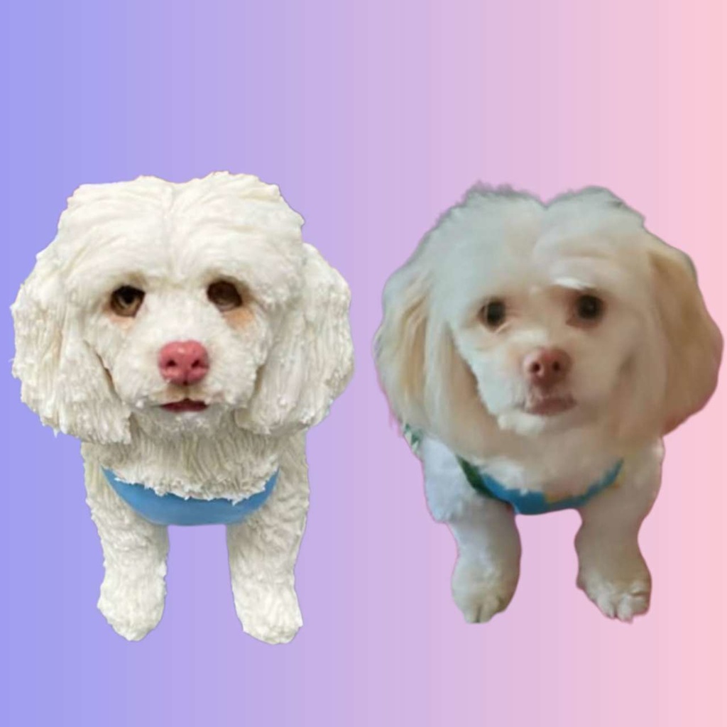 【受注作製】うちの子 写真入り そっくり人形❤ペット フィギュア、犬置物、 名入れ 愛犬 立体肖像画 似顔絵❤犬猫人形、ペットロス、メモリアル、ねこちゃん、誕生日、うちのこ記念日、ペットギフト