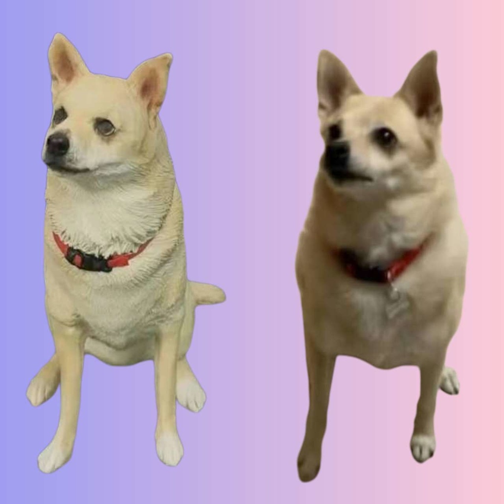 【受注作製】うちの子 写真入り そっくり人形❤ペット フィギュア、犬置物、 名入れ 愛犬 立体肖像画 似顔絵❤犬猫人形、ペットロス、メモリアル、ねこちゃん、誕生日、うちのこ記念日、ペットギフト