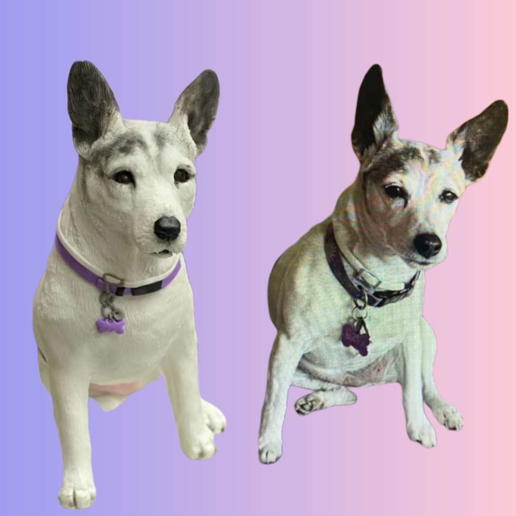 【受注作製】うちの子 写真入り そっくり人形❤ペット フィギュア、犬置物、 名入れ 愛犬 立体肖像画 似顔絵❤犬猫人形、ペットロス、メモリアル、ねこちゃん、誕生日、うちのこ記念日、ペットギフト