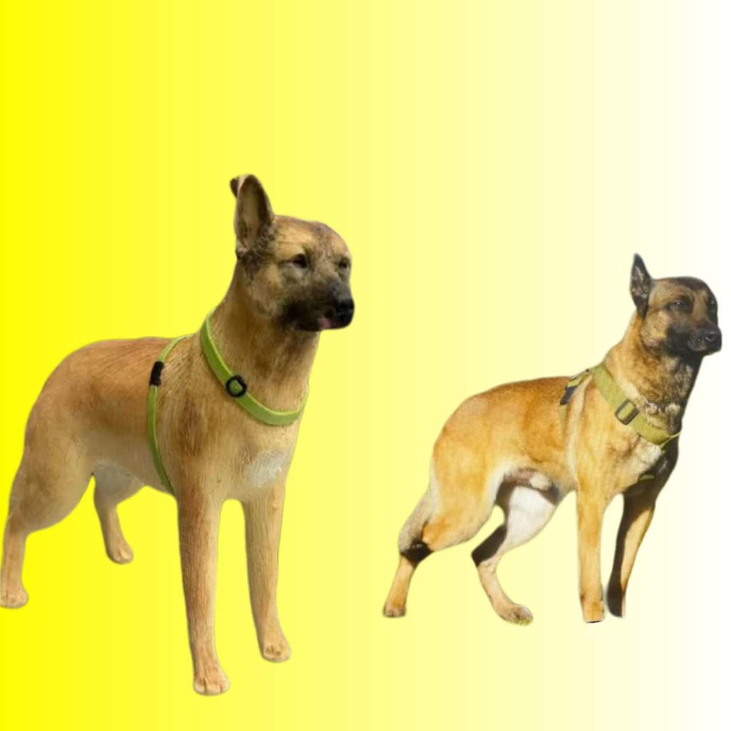 【受注作製】うちの子 写真入り そっくり人形❤ペット フィギュア、犬置物、 名入れ 愛犬 立体肖像画 似顔絵❤犬猫人形、ペットロス、メモリアル、ねこちゃん、誕生日、うちのこ記念日、ペットギフト