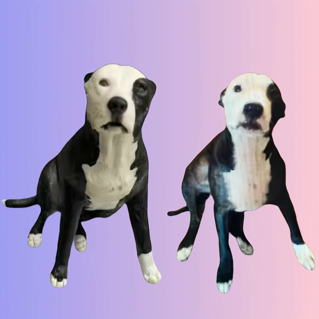 【受注作製】うちの子 写真入り そっくり人形❤ペット フィギュア、犬置物、 名入れ 愛犬 立体肖像画 似顔絵❤犬猫人形、ペットロス、メモリアル、ねこちゃん、誕生日、うちのこ記念日、ペットギフト