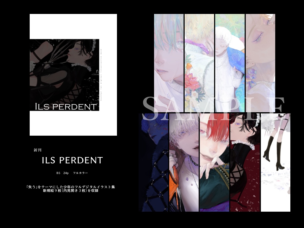 画集 Ils Perdent M T U Booth