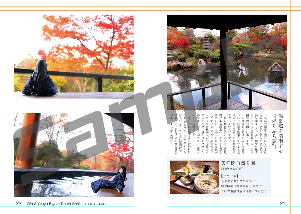 渋谷凛フィギュア写真集「凛がいてくれたから。」