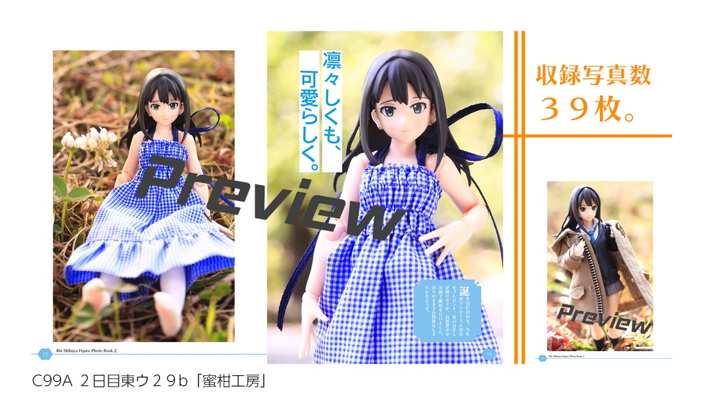 渋谷凛フィギュア写真集「凛がいてくれたから。II」