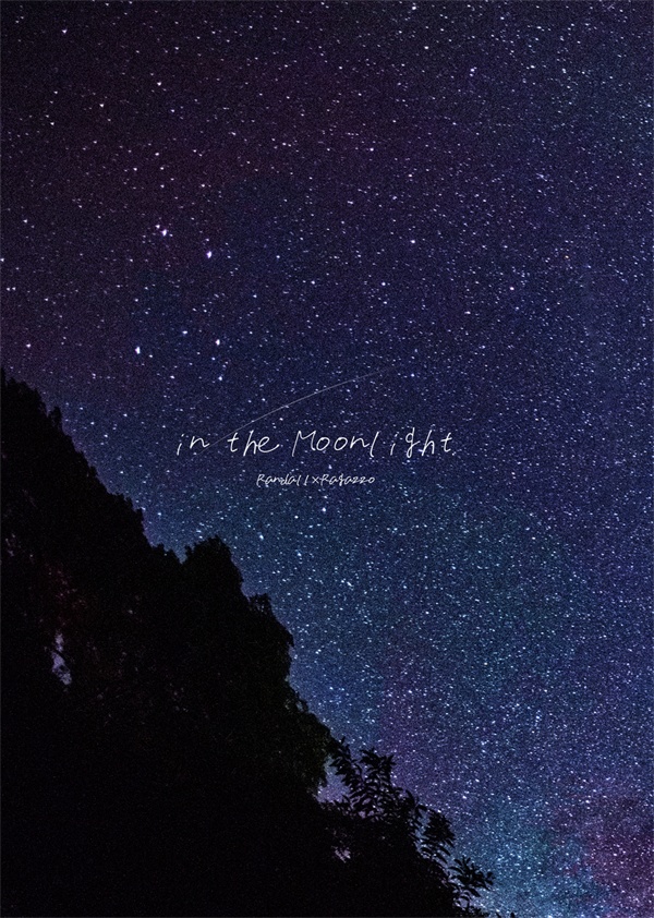 in the Moonlight.